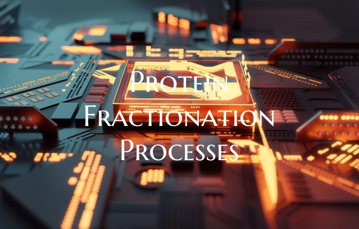 Protein Fractionation Processes